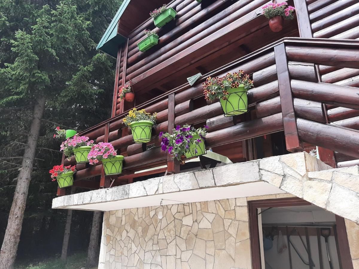 Villa Tanjuska Žabljak Exterior foto